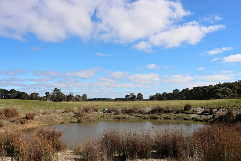 Click to view all images 5850 Clay Wells Road Wattle Range SA 5280 - Image 1