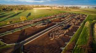 3077 The Escort Way Boree NSW 2800 - Image 2