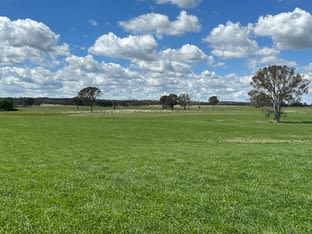 Click to view all images Ivanhoe Little Plains Road Boorowa NSW 2586 - Image 1