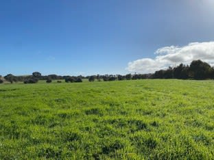 Click to view all images Ivanhoe Little Plains Road Boorowa NSW 2586 - Image 3
