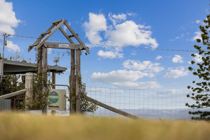Click to view all images 1150 Maleny-Stanley River Road Booroobin QLD 4552 - Image 2