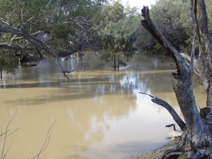 Click to view all images "YARRUM"/4483 Conargo Road Conargo NSW 2710 - Image 3
