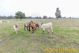 309 Whiteleys Lane Maryvale NSW 2820 - Image 2