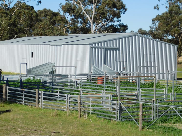 Click to view all images 693 Bangham Road Bangham SA 5268 - Image 3