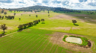 Click to view all images 'Bethel'/409 Bethel Road Burrumbuttock NSW 2642 - Image 1
