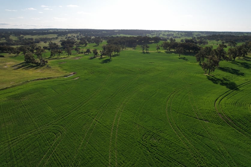 Click to view all images 970 Talbot Road Talbot WA 6302 - Image 1