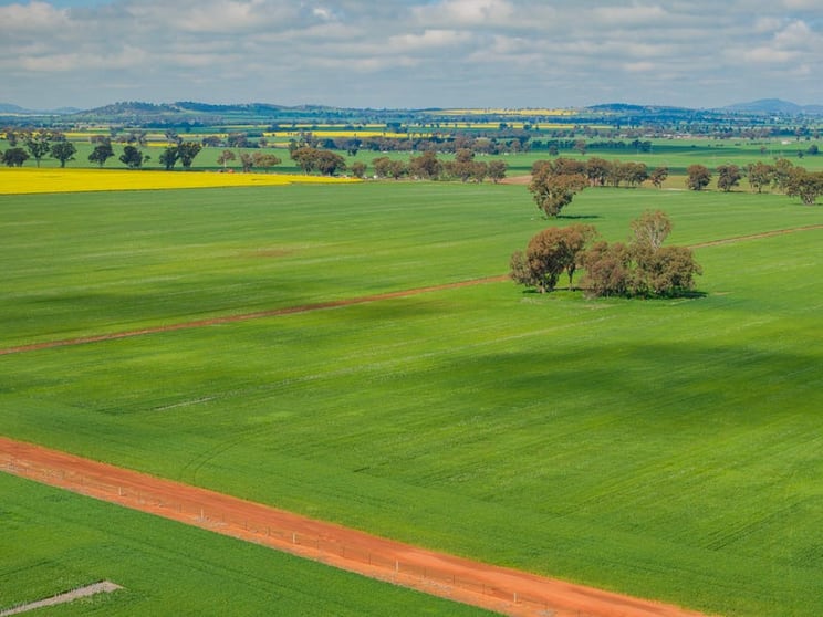 187 Smiths Road Collingullie NSW 2650 - Image 3