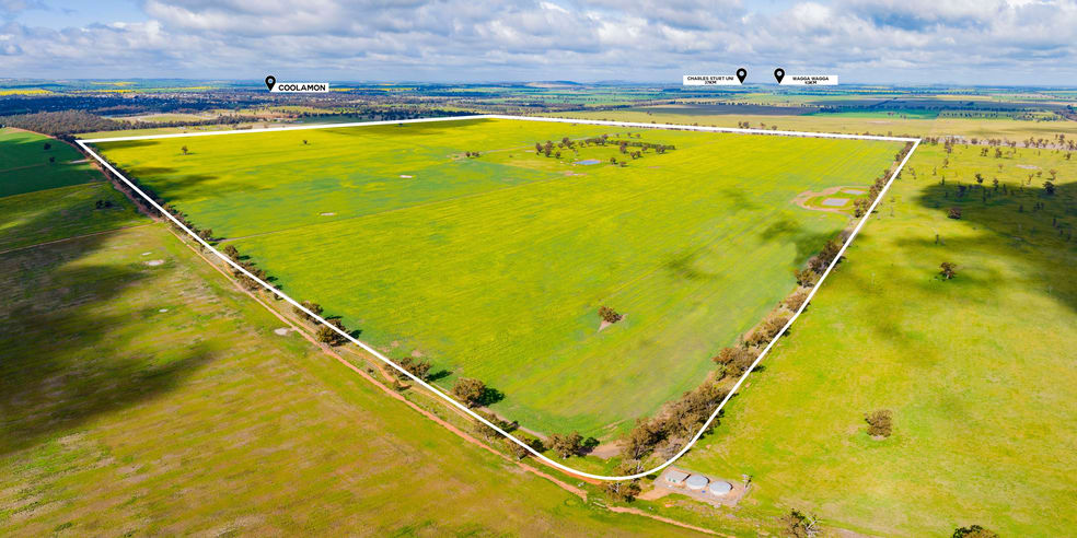 Lonsdale Lane Coolamon NSW 2701 - Image 3
