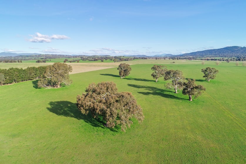 Lot 2 Mt Buller & Lot 3 Pollards Mansfield VIC 3722 - Image 2