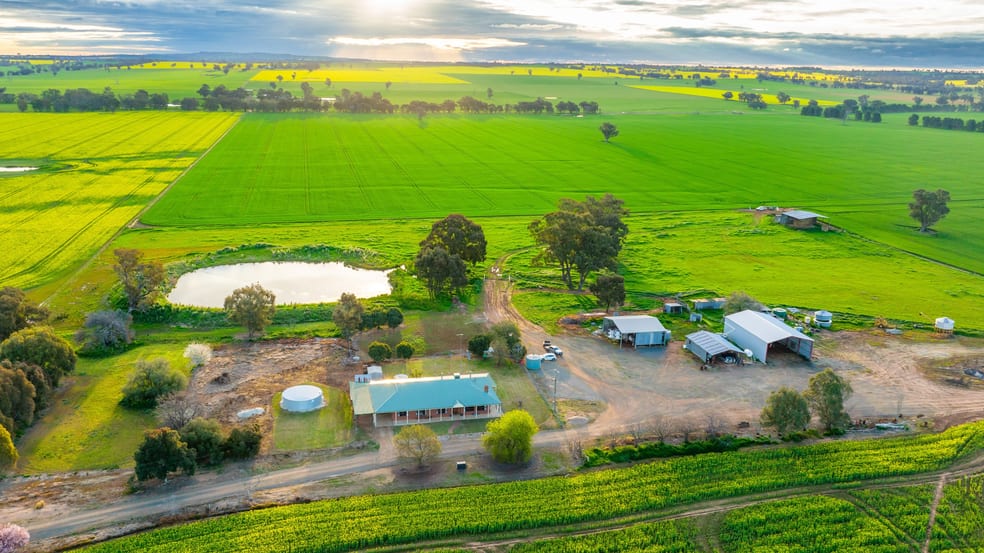Click to view all images 1610 Henty Walla Road Culcairn NSW 2660 - Image 2