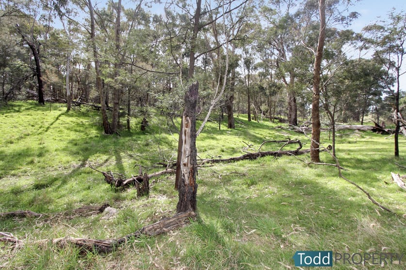 330 Paddys Dam Road Tooborac VIC 3522 - Image 2