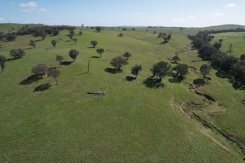 Click to view all images Yarra, Hughstonia Road Binalong NSW 2584 - Image 2