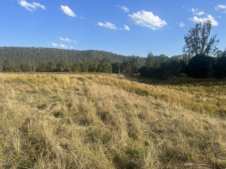 Click to view all images 2374 Upper Mongogarie Road Upper Mongogarie NSW 2470 - Image 2