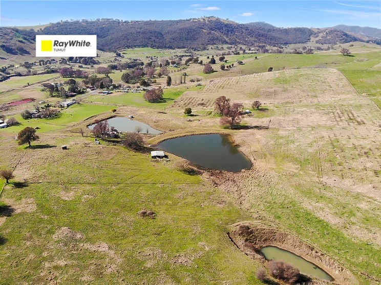 Click to view all images 585 Grahamstown Road Adelong NSW 2729 - Image 1