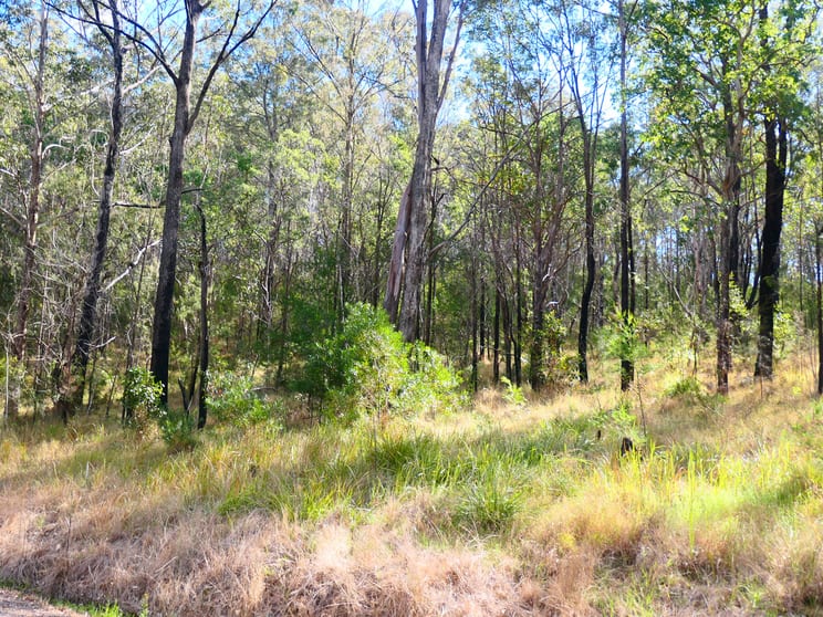 Click to view all images 1/ Cheviot Hills Road Drake NSW 2469 - Image 1