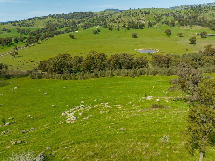 Click to view all images 383 Sheans Creek Road Sheans Creek VIC 3666 - Image 2