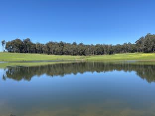 Click to view all images Lot 10838 Piano Gully Road (Middlesex) Manjimup WA 6258 - Image 1