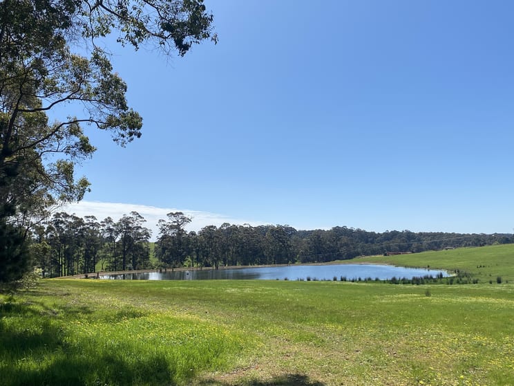 Click to view all images Lot 10838 Piano Gully Road (Middlesex) Manjimup WA 6258 - Image 3