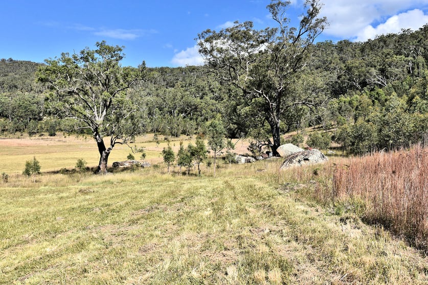 Click to view all images 1880 Paynes Crossing Road Paynes Crossing NSW 2325 - Image 3
