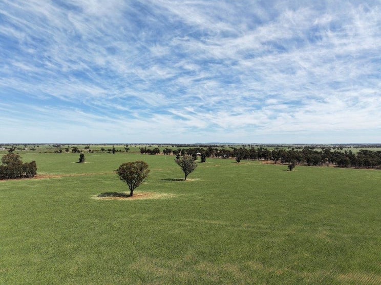 Click to view all images 121 Curries Lane Cowabbie NSW 2652 - Image 1