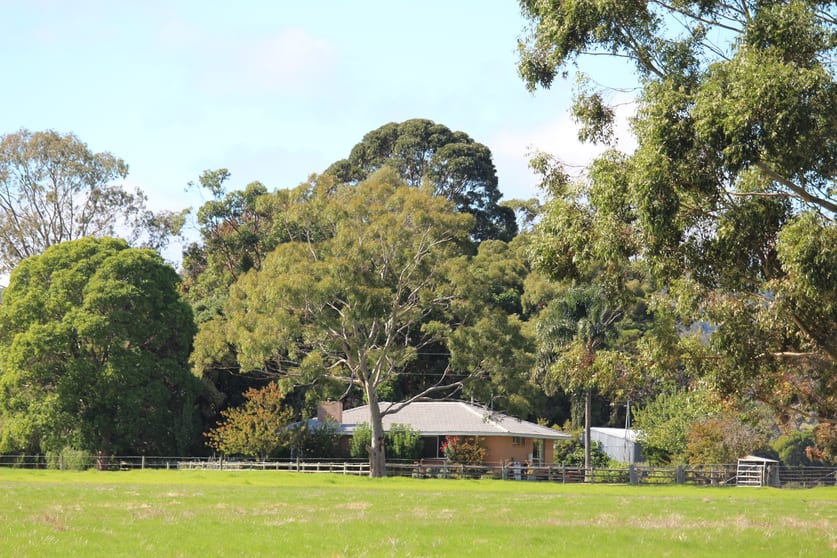 115 Riverdale Road Cookernup WA 6219 - Image 2