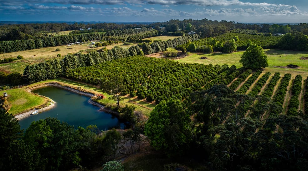 Click to view all images 'Wyuna Farms' 982-988 George Downes Drive Kulnura NSW 2250 - Image 2
