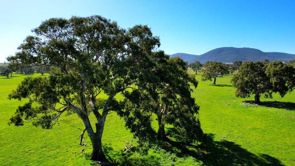 Click to view all images 102 Hillman Road Middle Creek VIC 3375 - Image 1