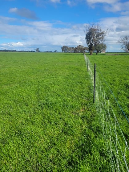 Aitken Avenue Donald VIC 3480 - Image 3