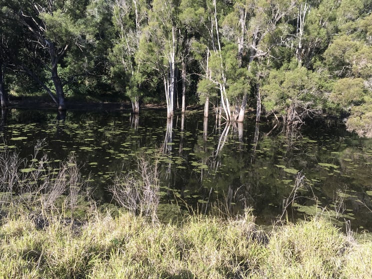 Click to view all images "Paradise" Gatton Clifton Road Mount Whitestone QLD 4347 - Image 3