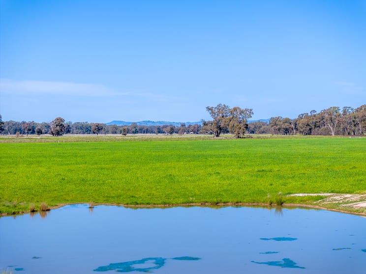 Click to view all images 1213 Geodetic Road Euroa VIC 3666 - Image 3