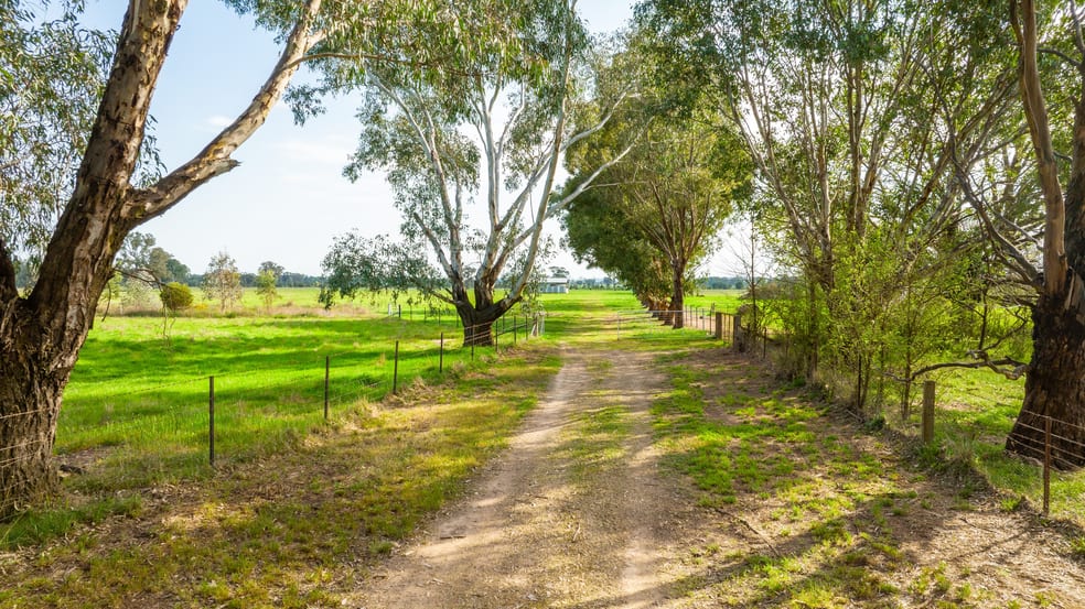 135 Jacka Lane Holbrook NSW 2644 - Image 1