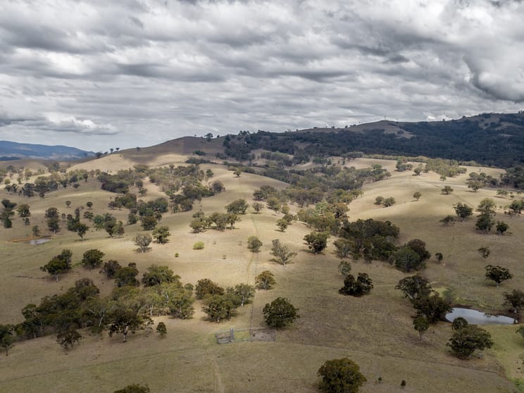 Click to view all images "Nelson's" Stock Route Rd Blandford NSW 2338 - Image 1