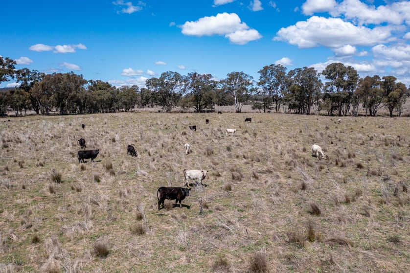 Lot 206 //45 Bayly Lane Mudgee NSW 2850 - Image 2