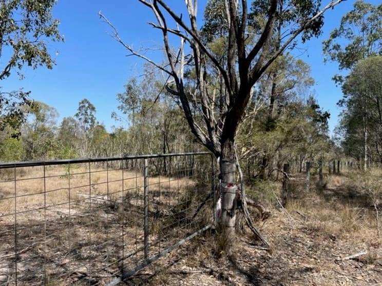 Click to view all images Lot 302 and Lot 327 School Lane Kyarran NSW 2460 - Image 2