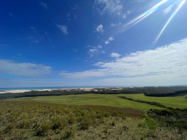 Click to view all images 1/ Portland-Nelson Road Mount Richmond VIC 3305 - Image 1