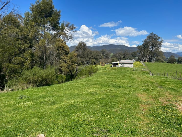 Swasbrick Road Eskdale VIC 3701 - Image 1