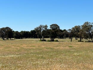 Click to view all images 157 Blake Road Bunnaloo NSW 2731 - Image 3
