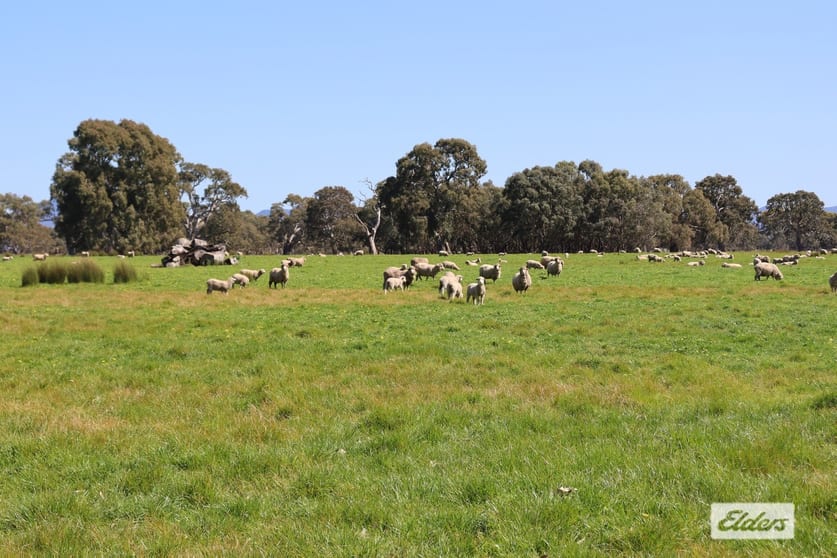 CA 91a 91b Mitchell Street Glenthompson VIC 3293 - Image 1