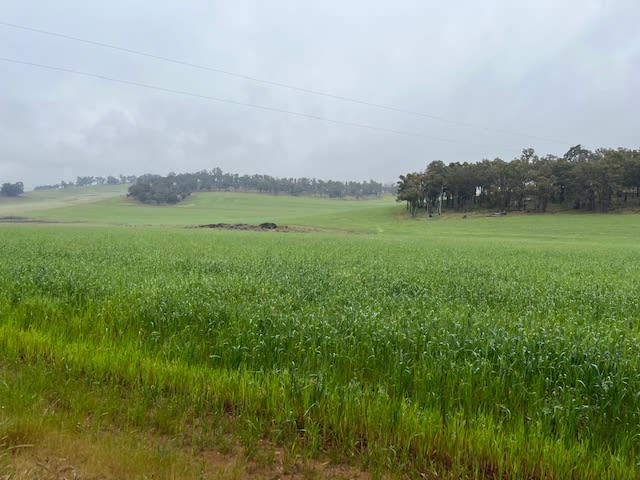 Click to view all images Bullet Holdings, Lower Hotham Road Lower Hotham WA 6390 - Image 3