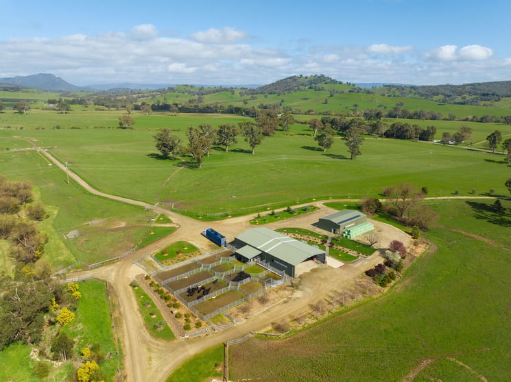 Click to view all images 1036 Taggerty - Thornton Road Thornton VIC 3712 - Image 3
