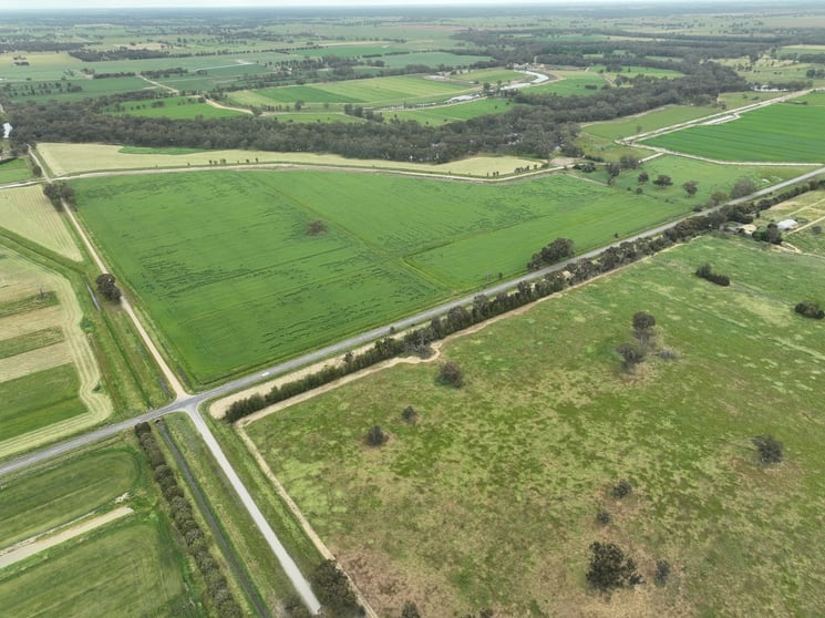 1006 Katamatite Nathalia Road Waaia VIC 3637 - Image 2