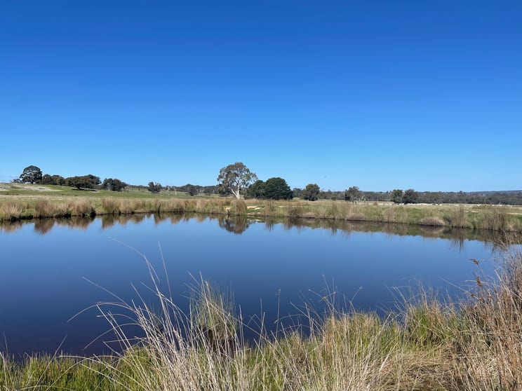 Lot 1 Longwood Ruffy Road Ruffy VIC 3666 - Image 1