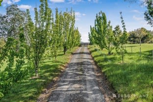 3822 Whittlesea-Yea Road Flowerdale VIC 3717 - Image 2