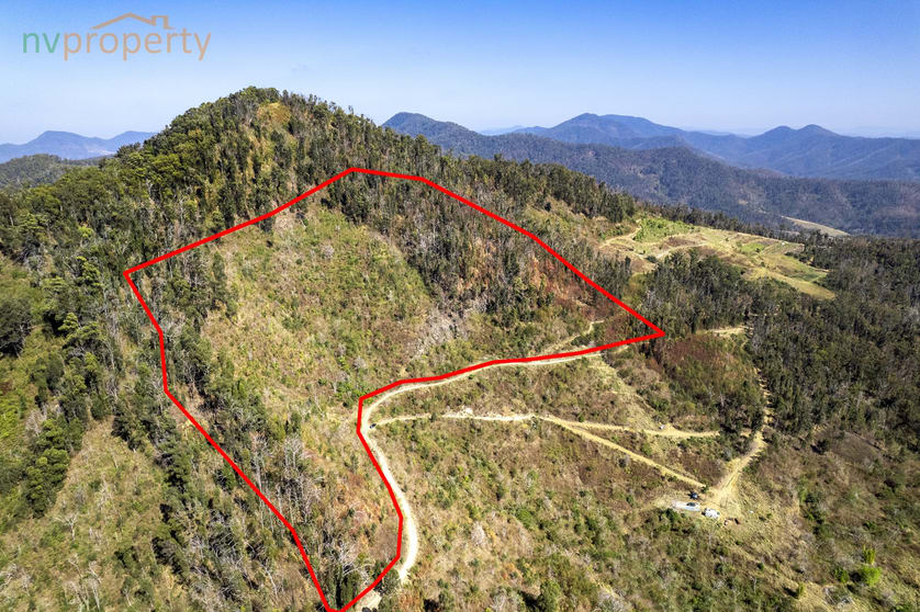 Click to view all images 337 Whip Mountain Road Yarranbella NSW 2447 - Image 3