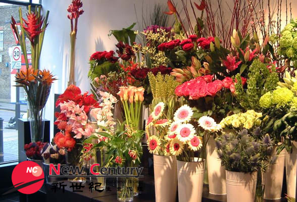 Shop & Retail  business for sale in Pascoe Vale - Image 1