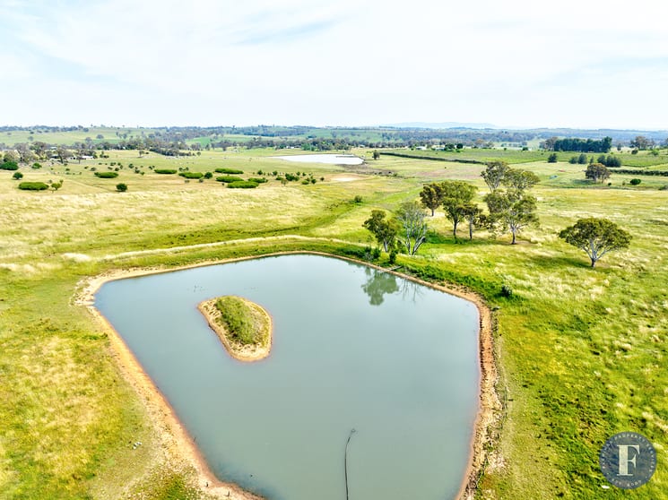 6 Campbells, Road Young NSW 2594 - Image 2