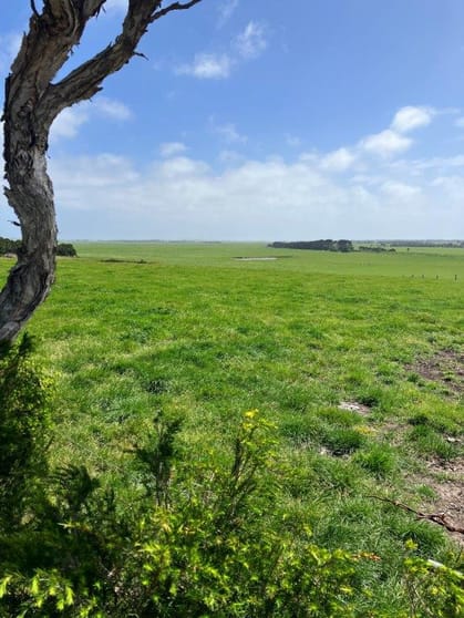 Click to view all images 311 Mansons Road Egg Lagoon TAS 7256 - Image 3