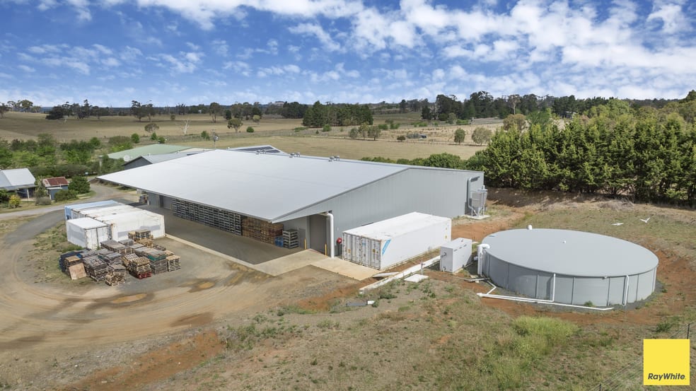 296 Noalimba Avenue Kentucky NSW 2354 - Image 2