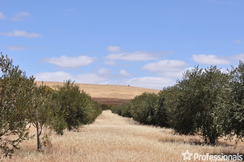 Click to view all images Section 426 Worlds End Highway Eudunda SA 5374 - Image 1
