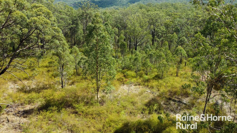 Click to view all images 1674 Paddys Flat Road Tabulam NSW 2469 - Image 3